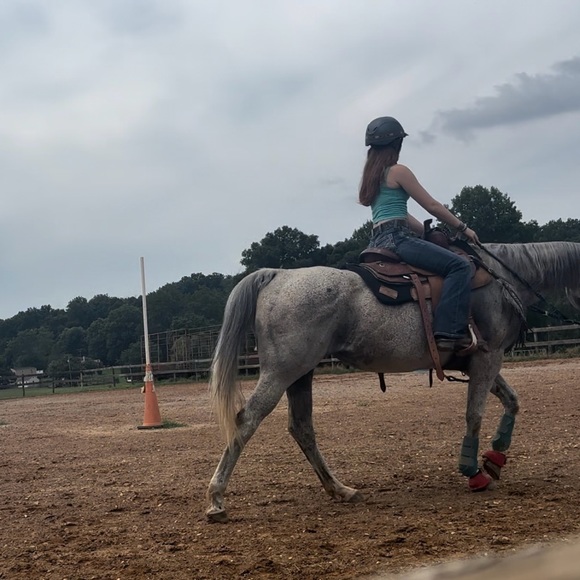 Meet your Posher, Madeleine - Picture 1 of 1